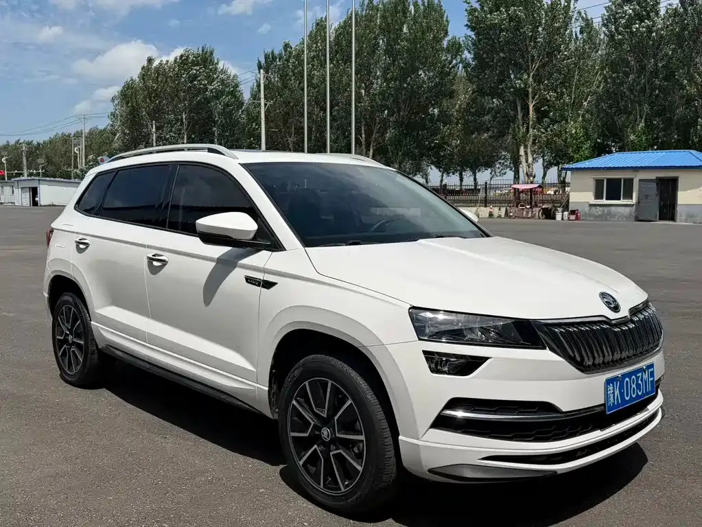 Skoda Karoq — фото 8