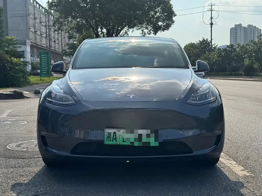 Tesla Model Y — фото 1