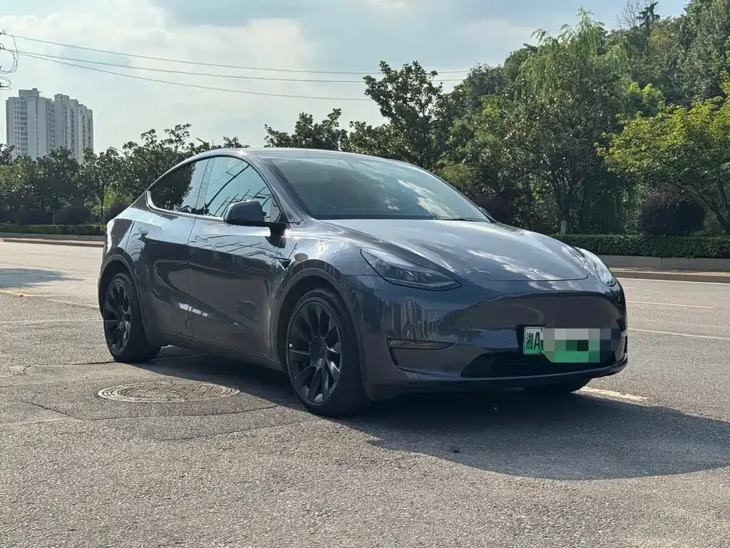Tesla Model Y — фото 4