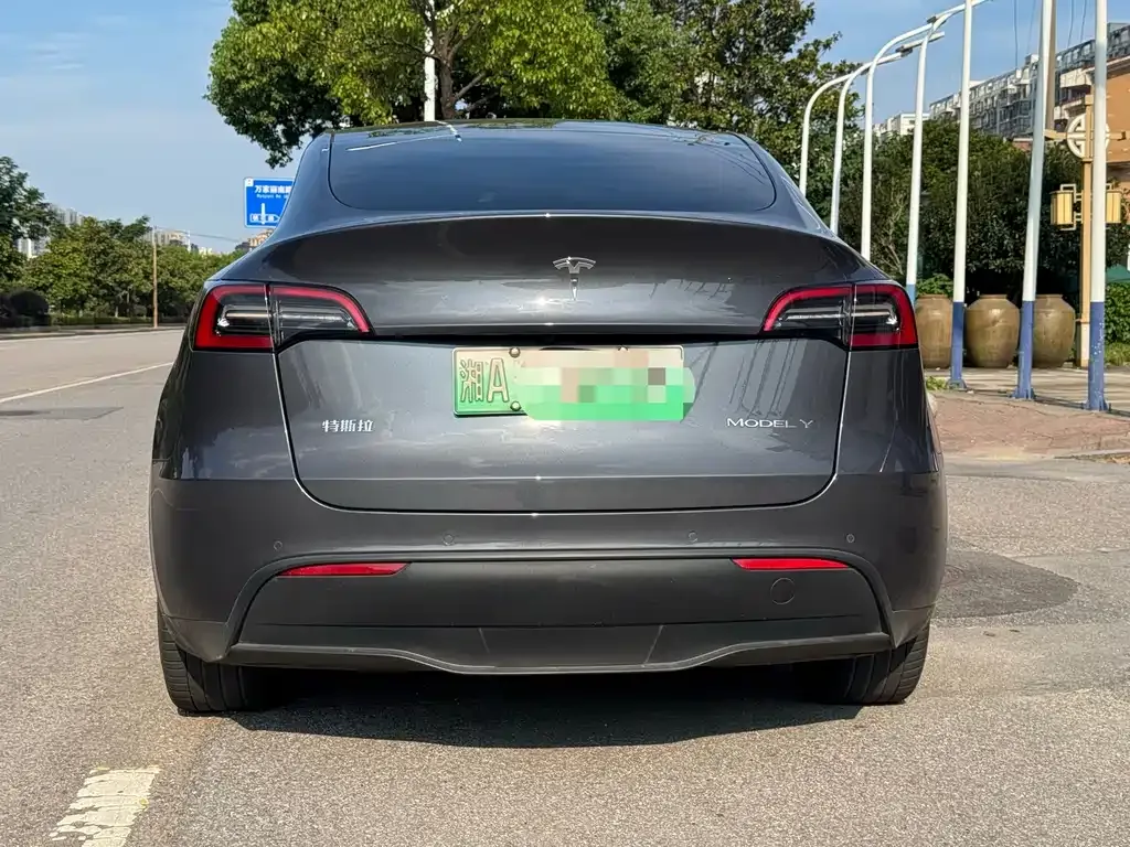 Tesla Model Y — фото 9
