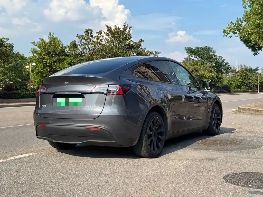 Tesla Model Y — фото 6