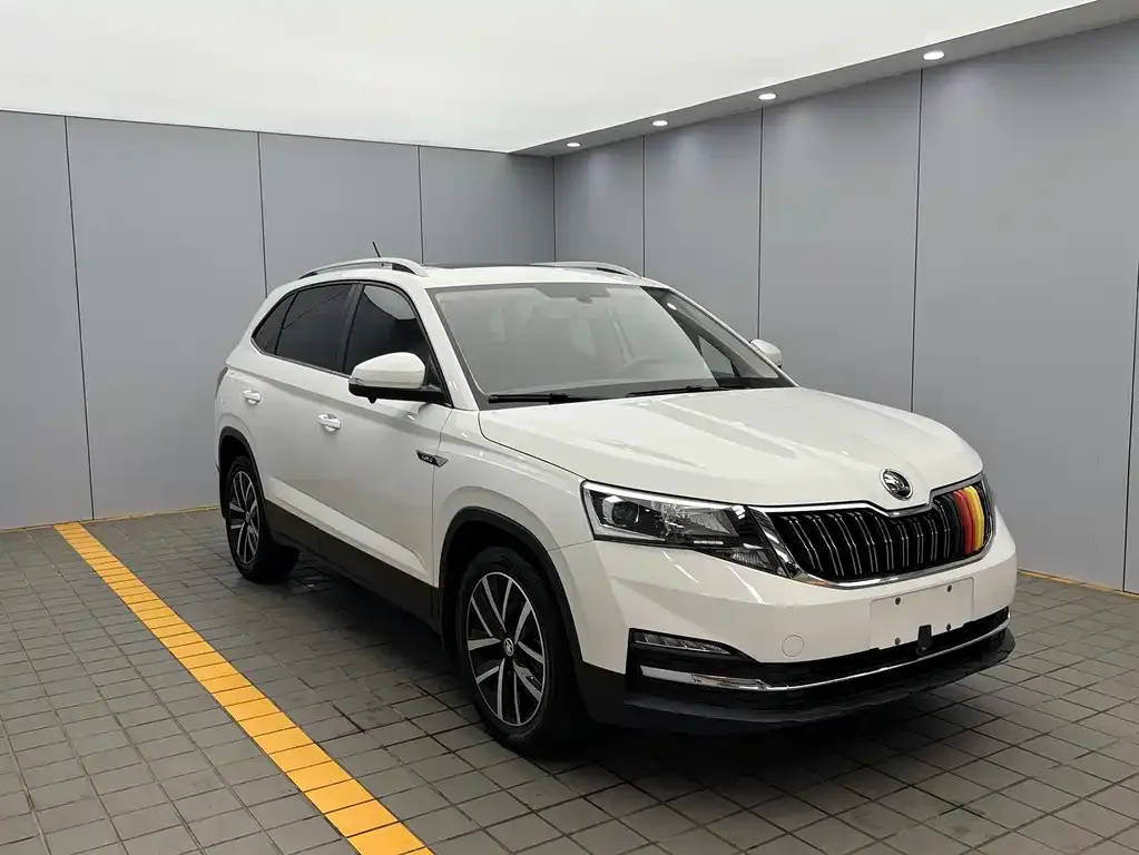 Skoda Kamiq 2022 из CN, фото 4