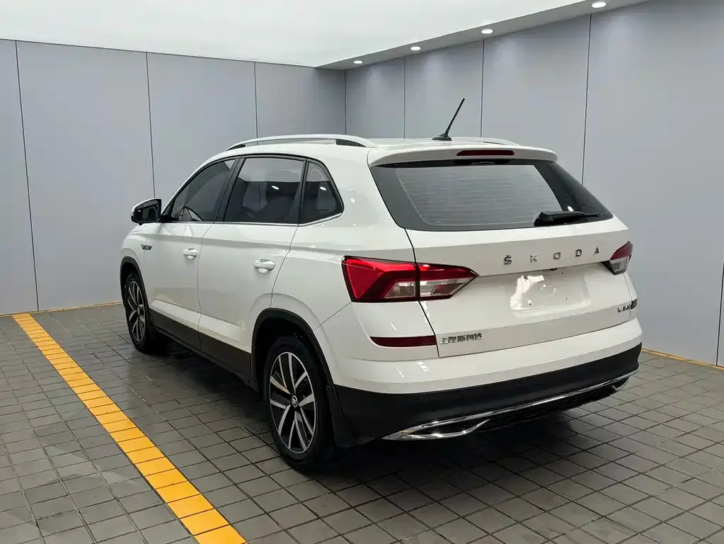 Skoda Kamiq 2022 из CN, фото 6