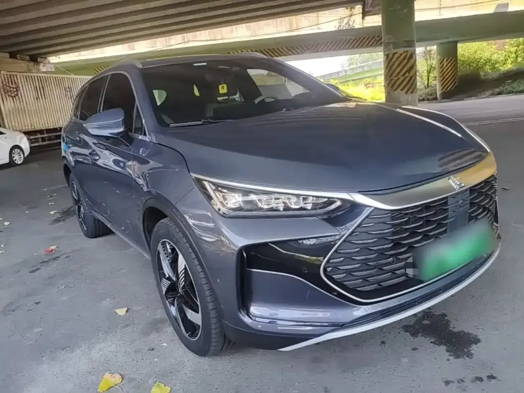 BYD Tang New Energy 2024 из CN, фото 7