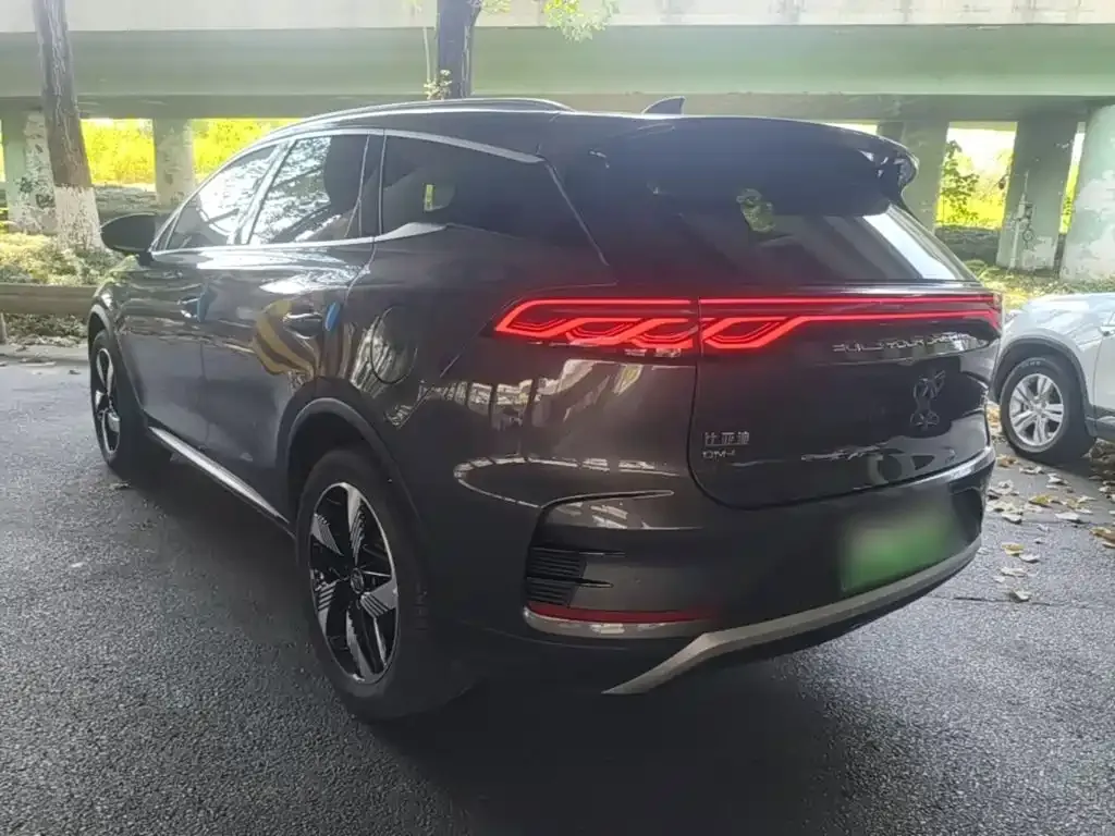 BYD Tang New Energy 2024 из CN, фото 10