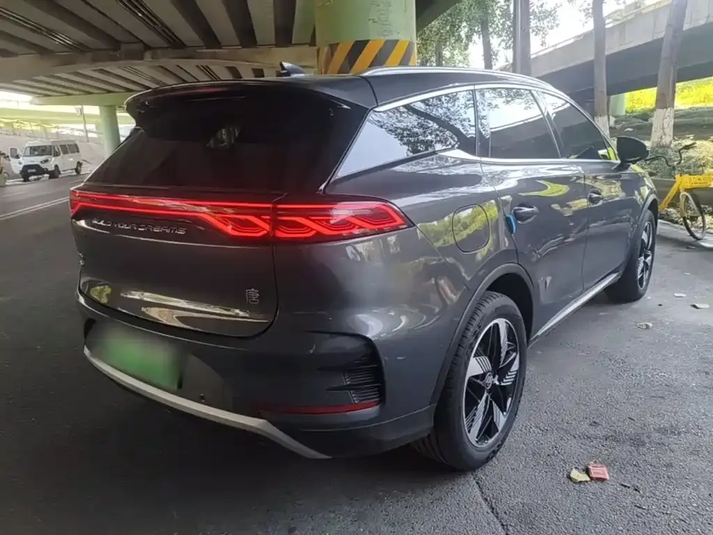 BYD Tang New Energy 2024 из CN, фото 2