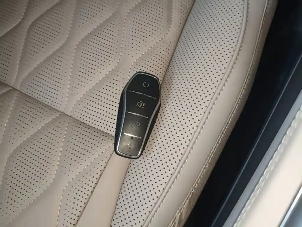 BYD Tang New Energy 2024 из CN, фото 9