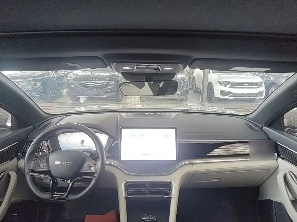 BYD PLUS New Energy — фото 10