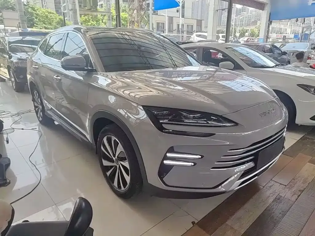 BYD PLUS New Energy — фото 8