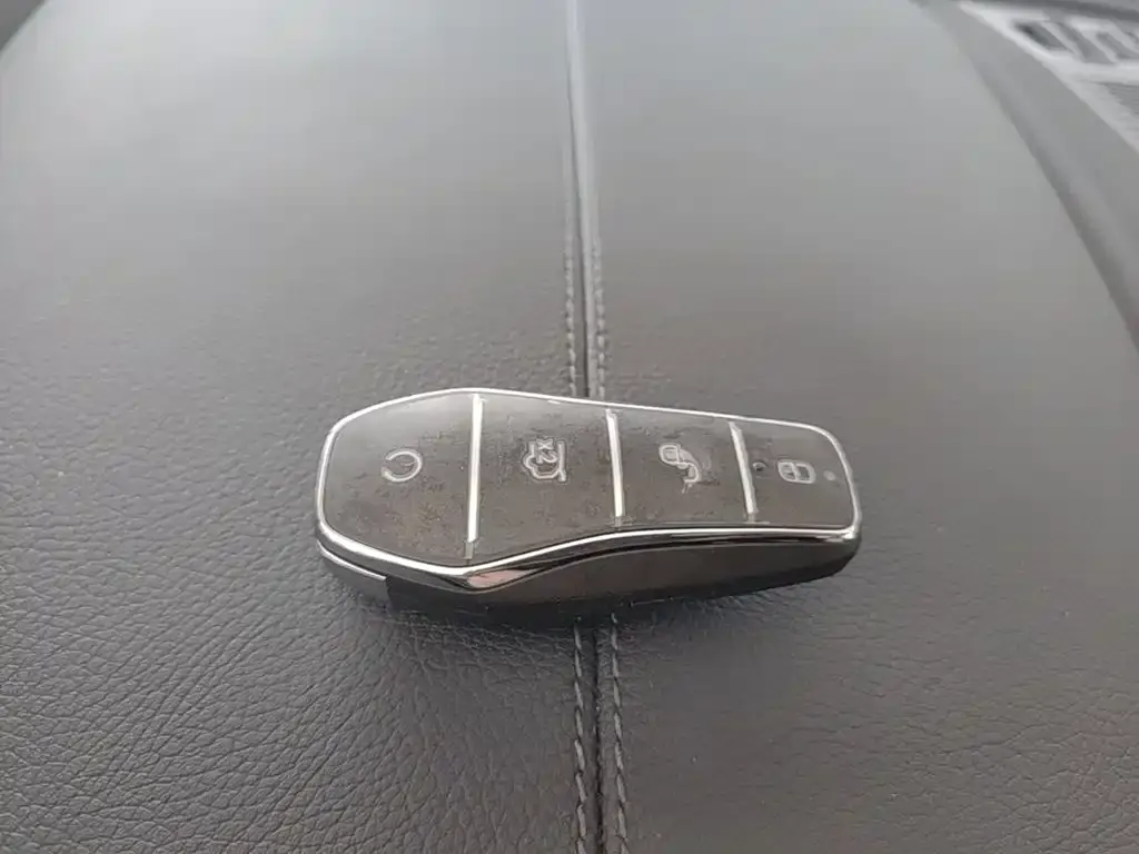 BYD PLUS New Energy — фото 4