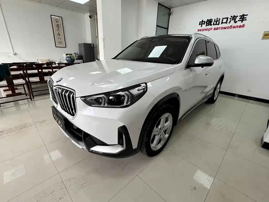 BMW X1 — фото 1