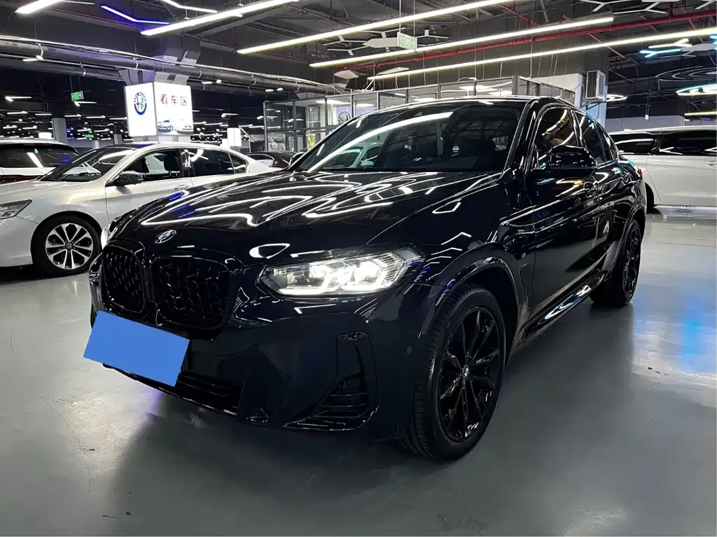 BMW X4 xDrive 30i M Sport Night 1