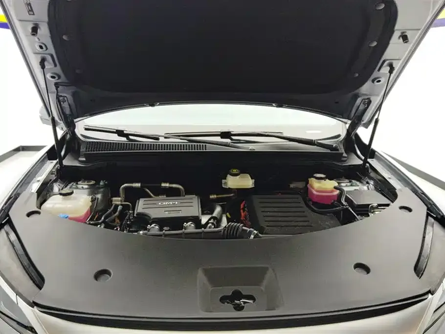 BYD Pro New Energy — фото 8