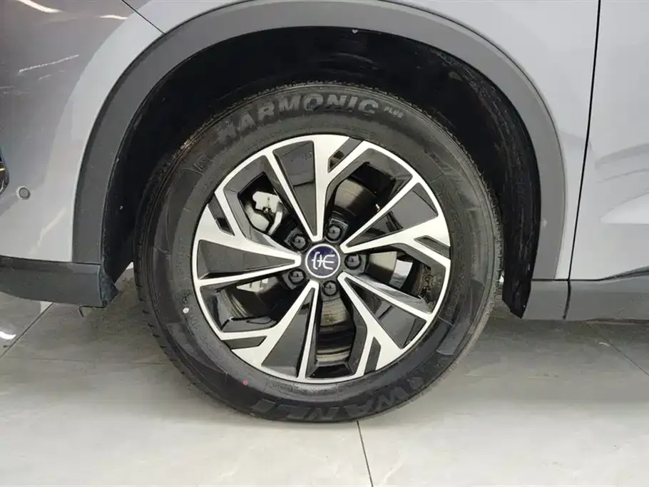 BYD Pro New Energy — фото 6