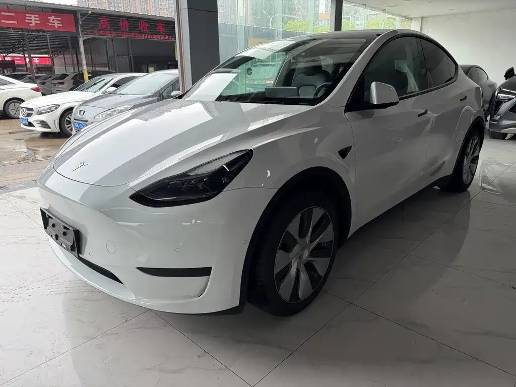 Tesla Model Y — фото 1