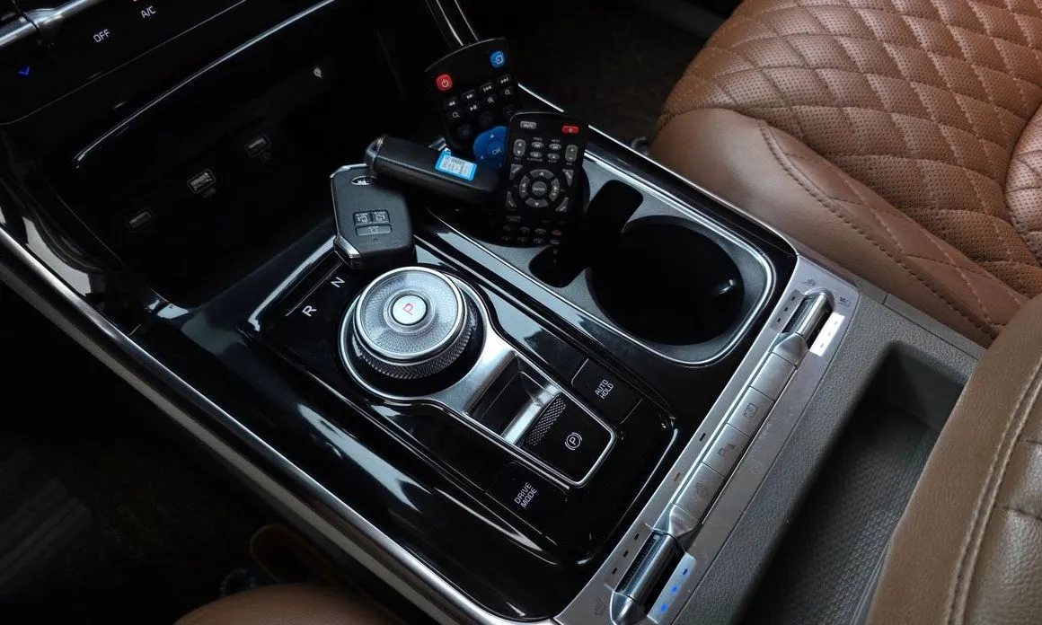 Kia Carnival — фото 10
