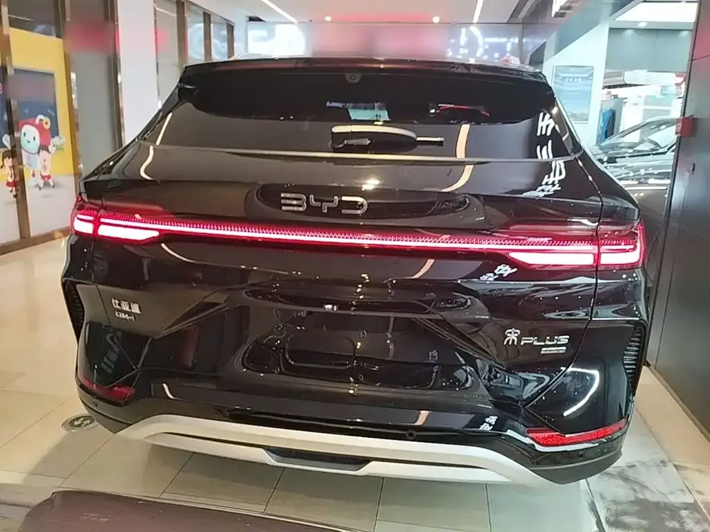 BYD PLUS New Energy — фото 4