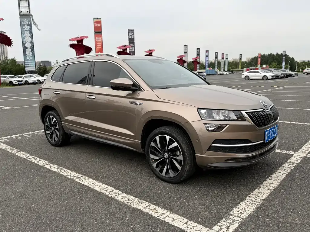 Skoda Karoq — фото 9