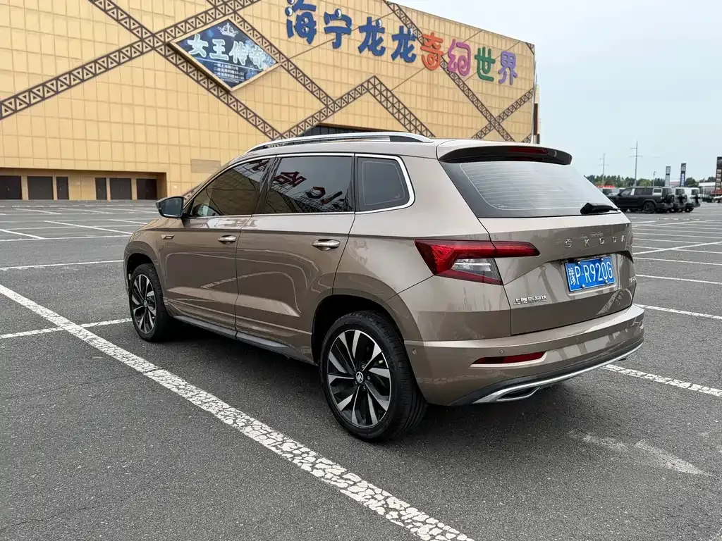 Skoda Karoq — фото 10