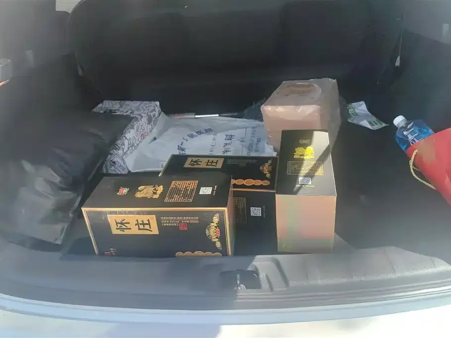 Nissan Qashqai 2023 из CN, фото 4