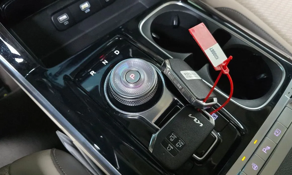 Kia Carnival — фото 10