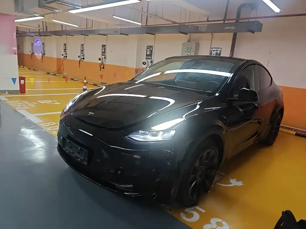 Tesla Model Y — фото 7