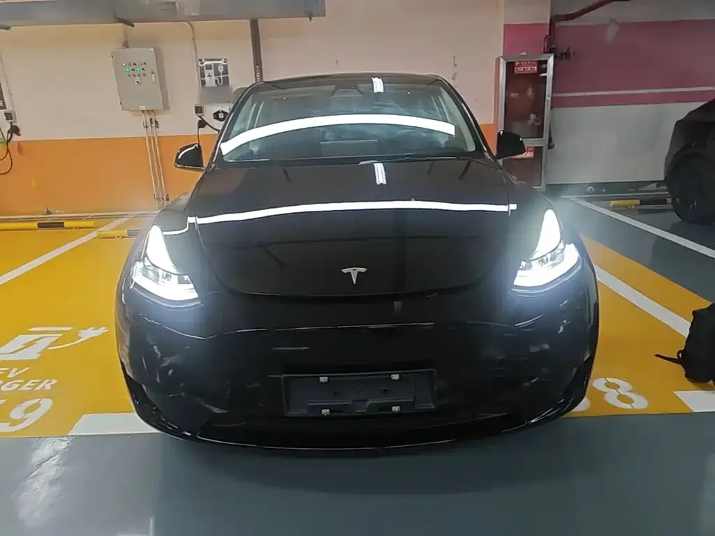 Tesla Model Y — фото 2