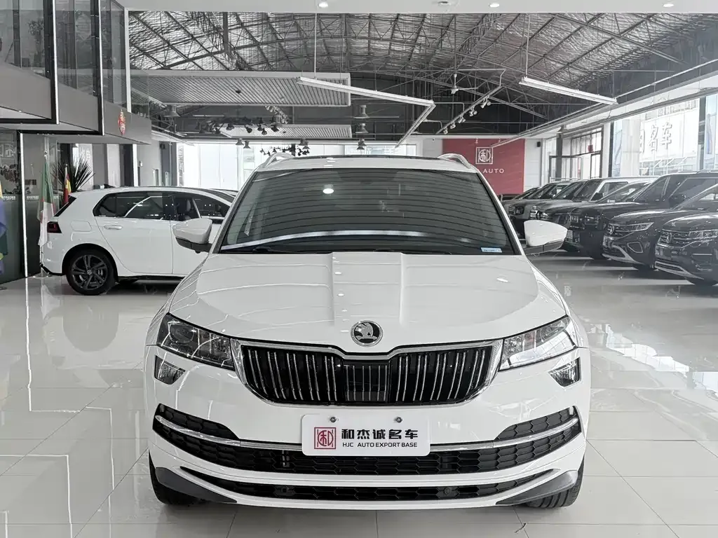Skoda Karoq — фото 9