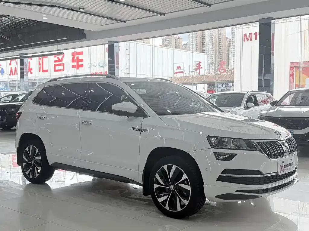 Skoda Karoq — фото 8