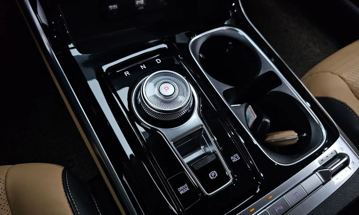 Kia Carnival — фото 10