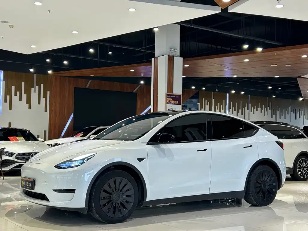 Tesla Model Y — фото 1