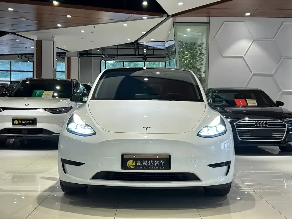 Tesla Model Y — фото 5