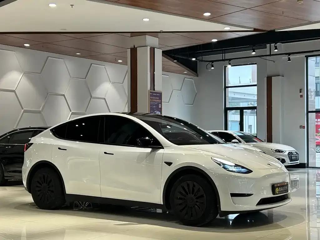 Tesla Model Y — фото 6