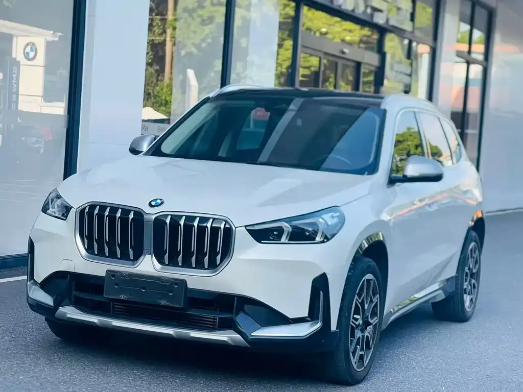 BMW X1 — фото 1