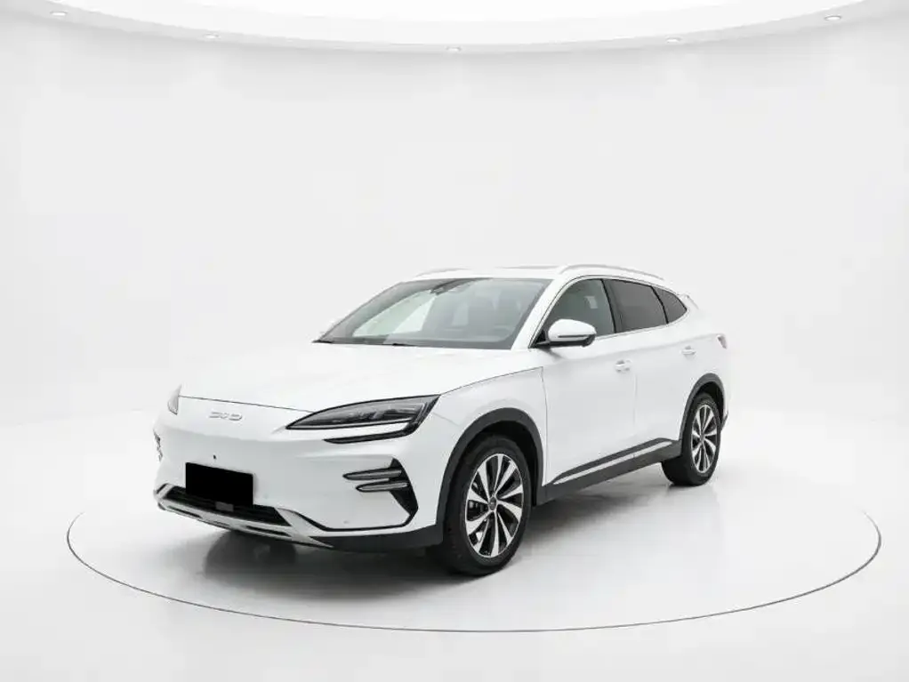 BYD PLUS New Energy — фото 1