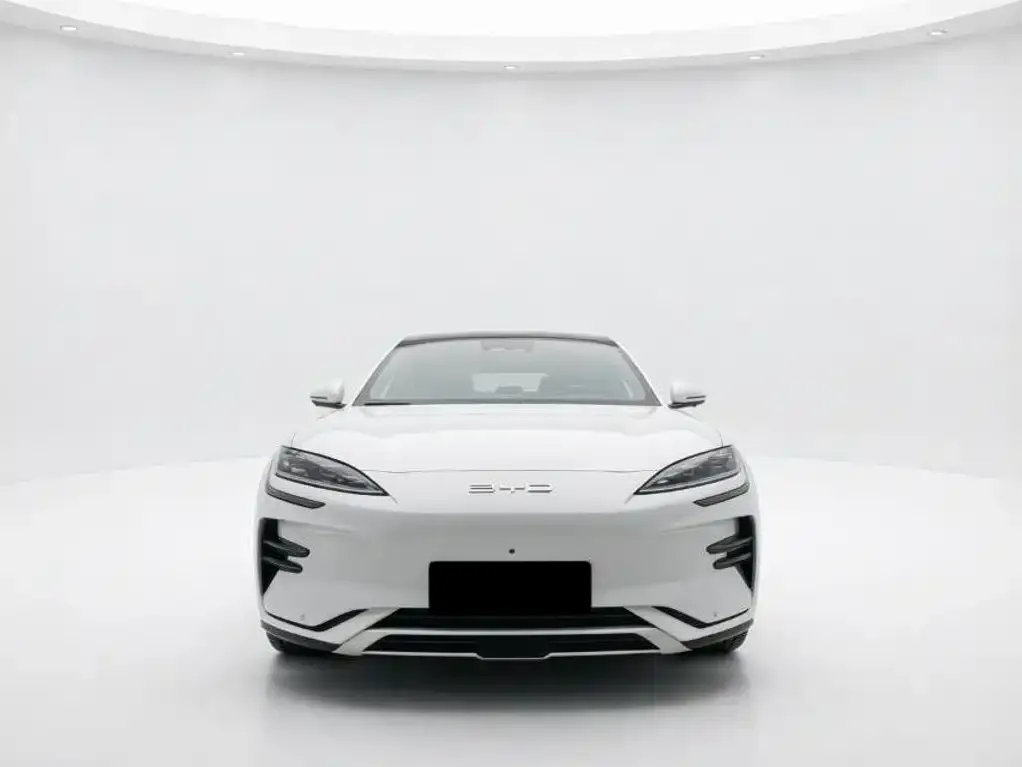 BYD PLUS New Energy — фото 4