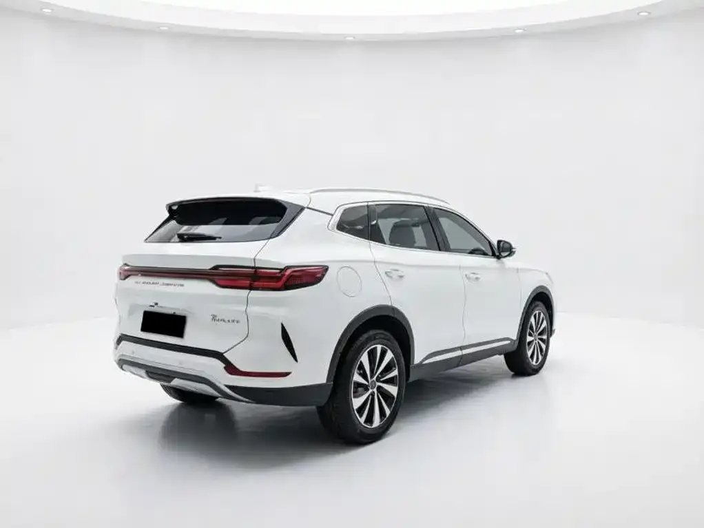 BYD PLUS New Energy — фото 5