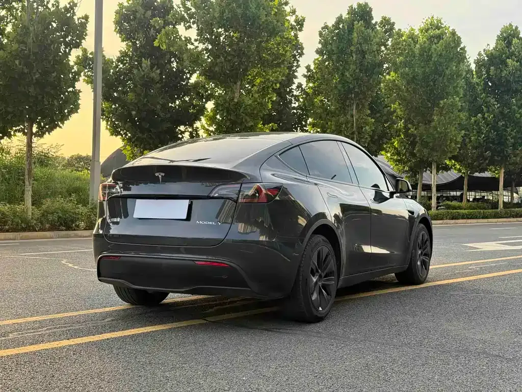 Tesla Model Y — фото 8