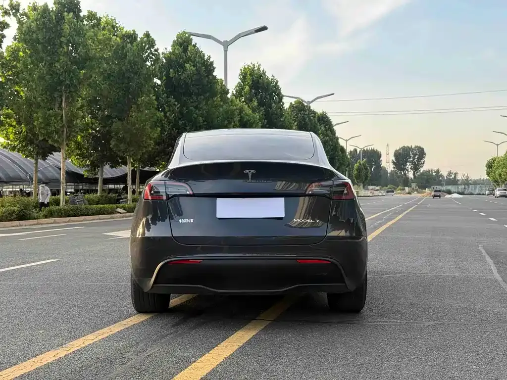 Tesla Model Y — фото 3