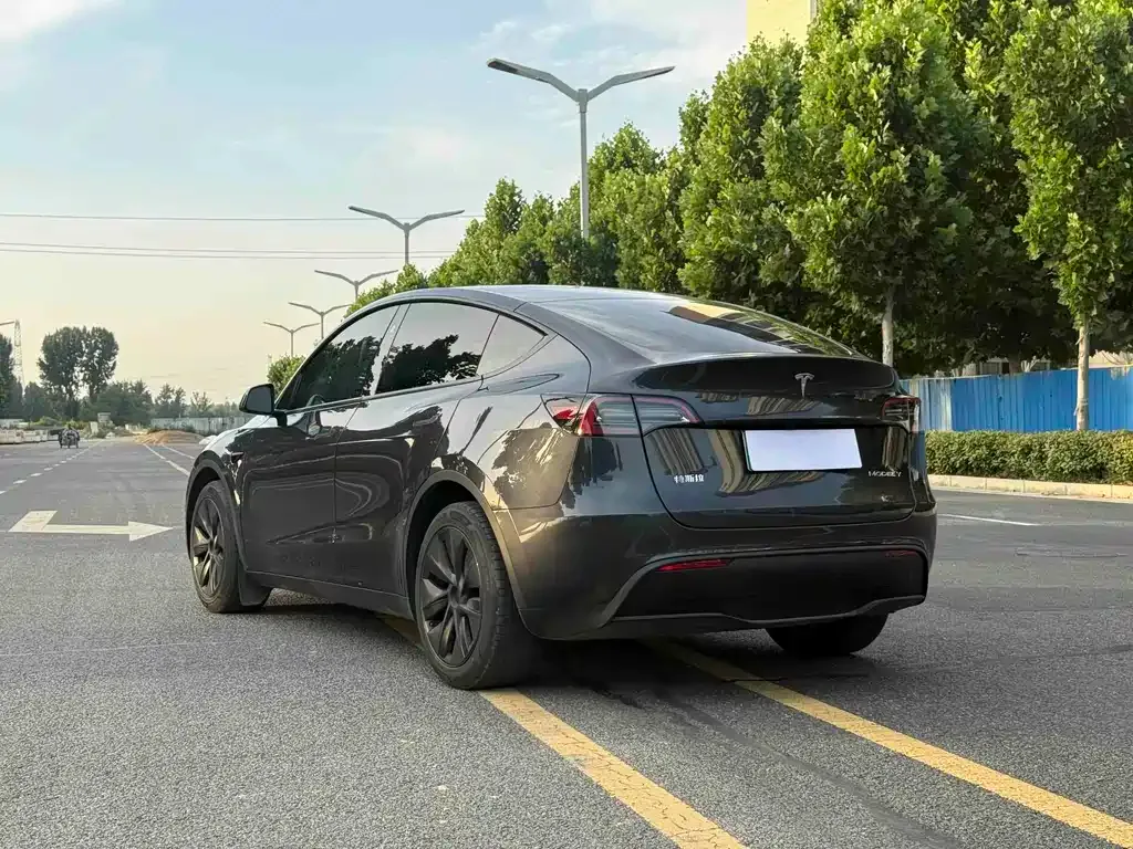 Tesla Model Y — фото 6