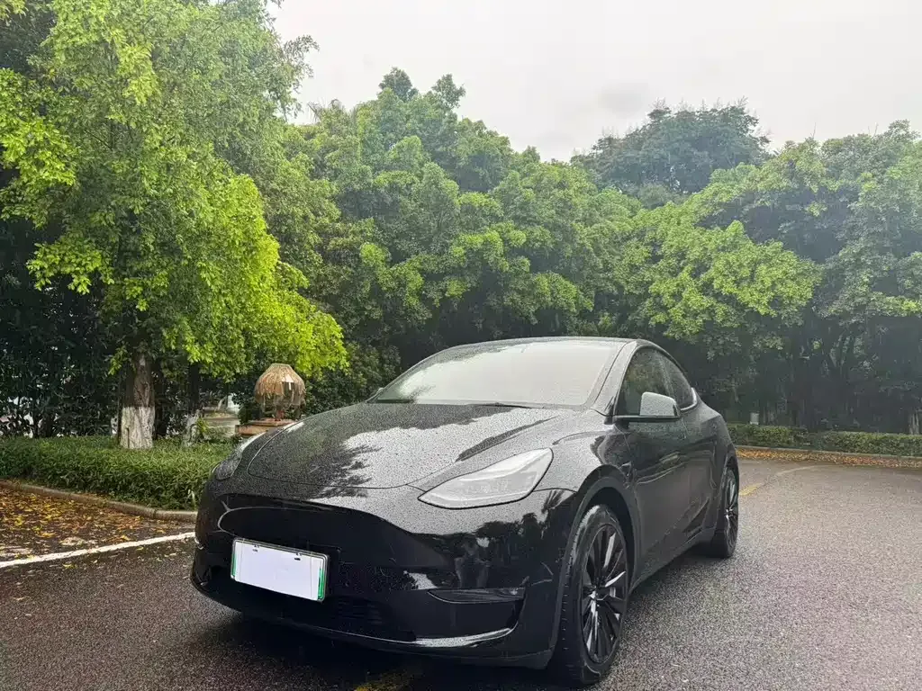 Tesla Model Y — фото 1