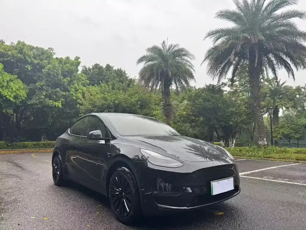 Tesla Model Y — фото 6
