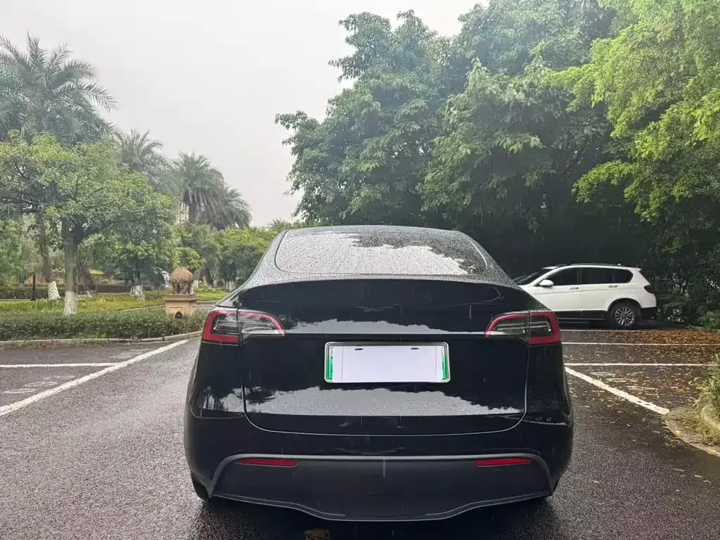 Tesla Model Y — фото 10