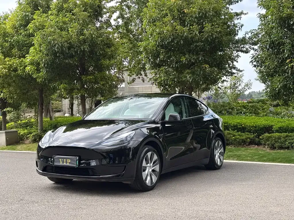 Tesla Model Y — фото 1