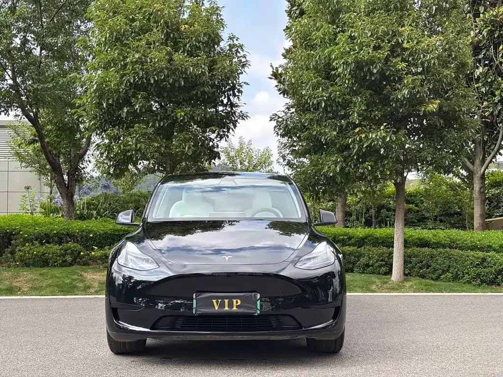 Tesla Model Y — фото 9