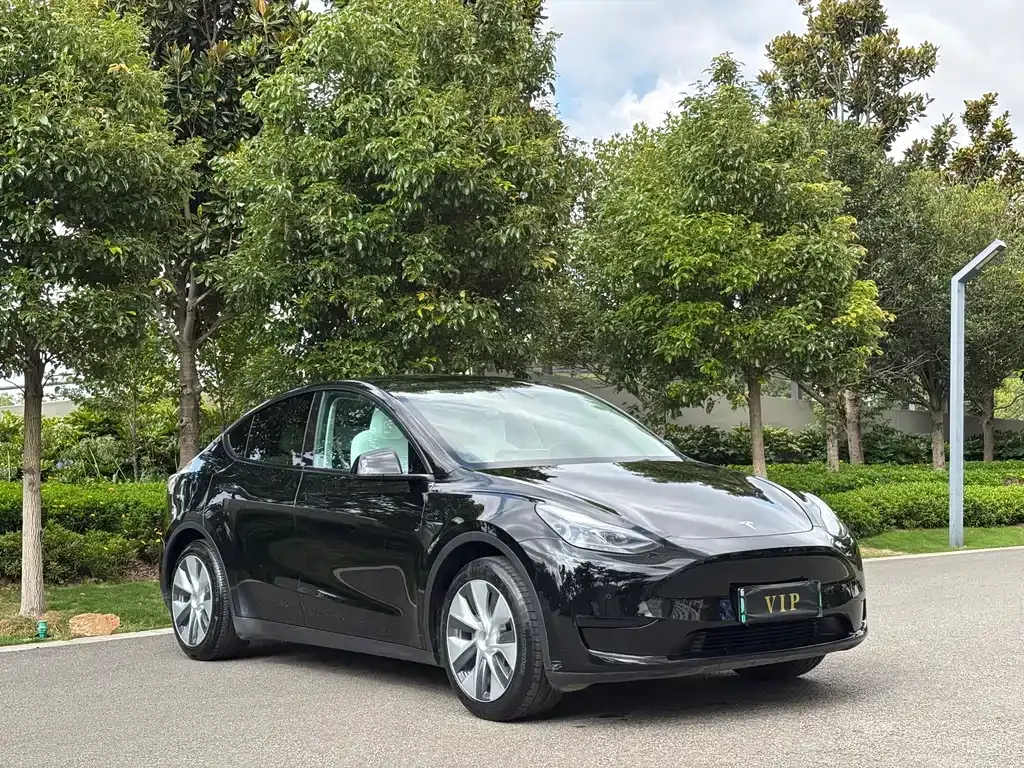 Tesla Model Y — фото 6