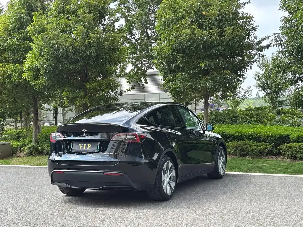 Tesla Model Y — фото 5