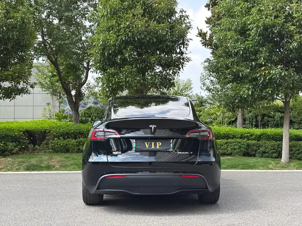 Tesla Model Y — фото 8