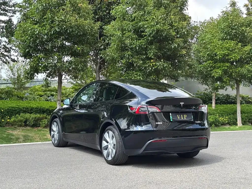 Tesla Model Y — фото 10