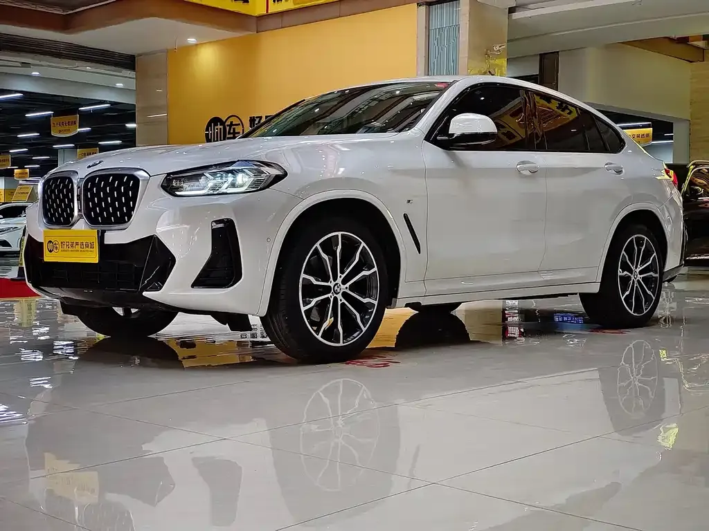 BMW X4 — фото 1